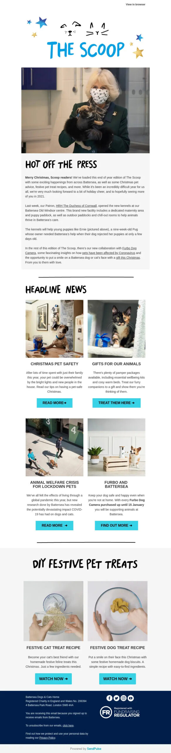 The Scoop Newsletter by Battersea