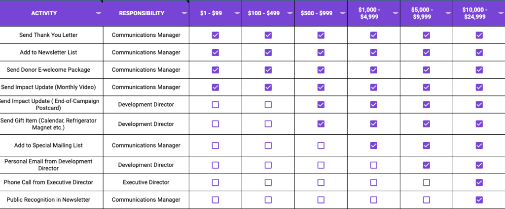 Donor Stewardship Matrix Snapshot